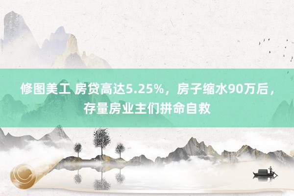 修图美工 房贷高达5.25%，房子缩水90万后，存量房业主们拼命自救